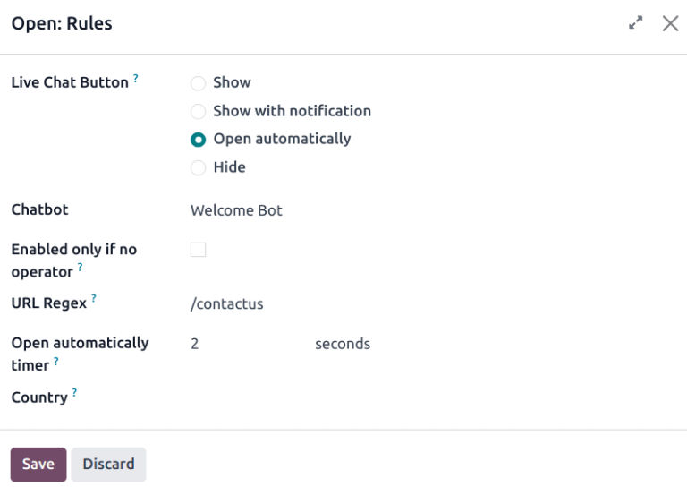 View of the channel rules emphasizing the chatbot field.