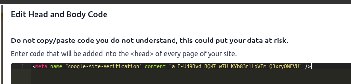 Paste tag in head field.